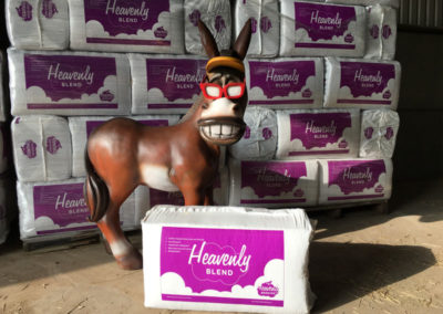 Donkey with Heavenly Blend